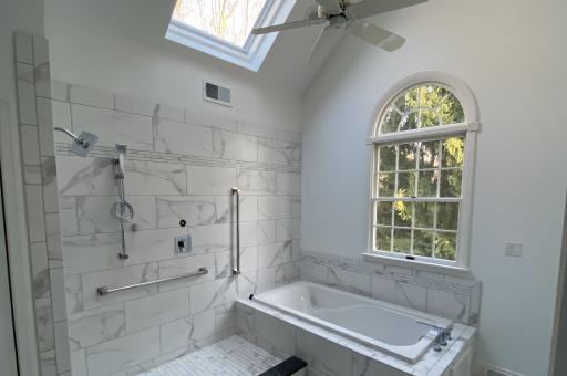 Stunning sunlit master bath remodel