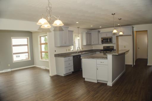 Kitchen and great room remodel