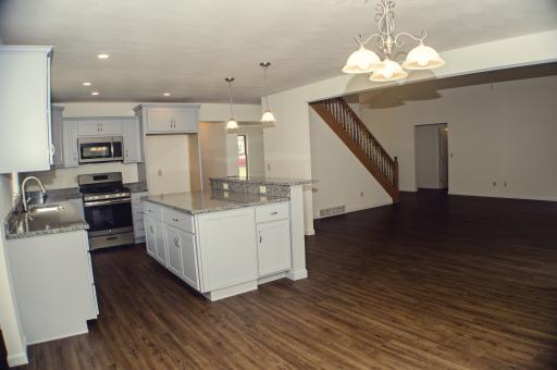 Kitchen and great room remodel